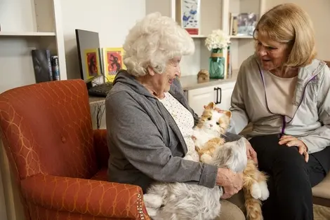 Eine Frau mit Demenz streichelt eine Roboterkatze.